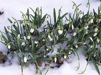 17-02-05kodak_003