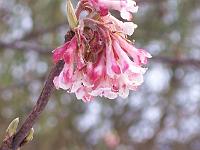 17-02-05kodak_020