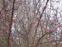 17-02-05kodak_023