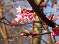 19-02-05kodak_003