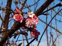 19-02-05kodak_004