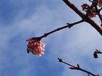 19-02-05kodak_014