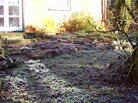 220105kodak_003