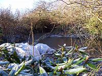 220105kodak_011