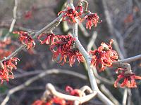 310105canon_005