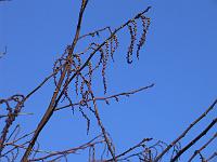310105canon_016