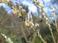 310105canon_027