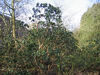 310105canon_037