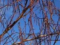 310105kodak_043