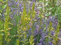copy_of_230704_017