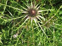 copy_of_230704_029