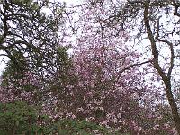 01-05kodak_065