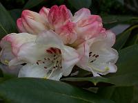 07-05-05kodak_124
