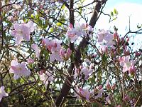08-05-05kodak_073