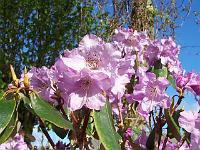 08-05-05kodak_142