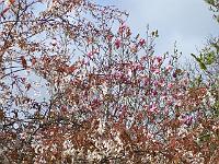 08-05-05kodak_184