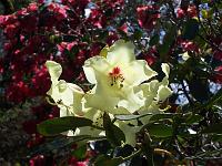 08-05-05kodak_231