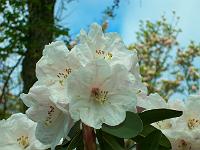 11-05-05kodak_066