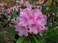 11-05-05kodak_089