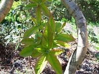 11-05-05kodak_092