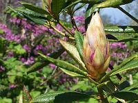 11-05-05kodak_174
