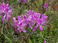 11-05-05kodak_226