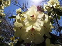 13-05-05kodak_077