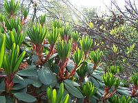 14-05-05kodak_073