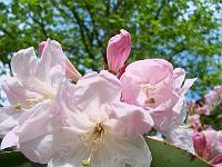 15-05-05kodak_034