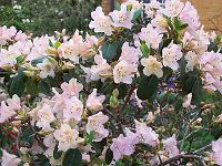 16-05-05kodak_032