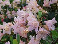 16-05-05kodak_037