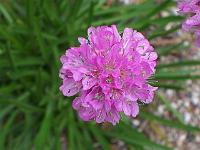 16-05-05kodak_114