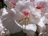 18-05-05kodak_143