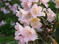 19-05-05kodak_032