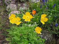 20-05-05kodak_007
