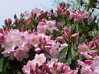 20-05-05kodak_050