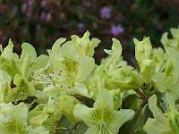 21-05-05kodak_042