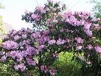 22-05-05kodak_032