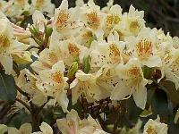 24-05-05kodak_317
