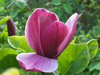 27-05-05kodak_028