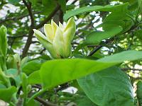 30-05-05kodak_167