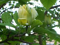 30-05-05kodak_170
