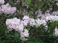 31-05-05canon_011