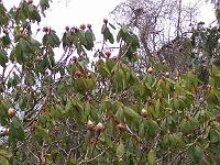 28-03-05kodak_009