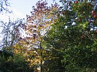 05-11-05canon_072