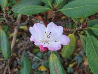 05-11-05canon_136