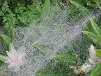 06-10-05canon_025