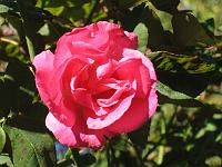 15-10-05canon_057