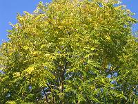 24-10-05canon_004