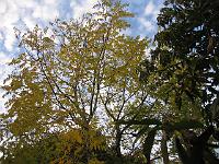 31-10-05canon_062